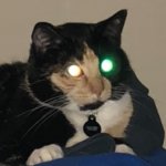 Particle-Beam Cat