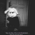 This is not wonderland and you are not alice