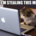 steal this meme | YEP, I'M STEALING THIS MEME | image tagged in cat using computer | made w/ Imgflip meme maker