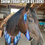 Excited | GOING TO ANOTHER SHOW TODAY WISH US LUCK! | image tagged in excited | made w/ Imgflip meme maker