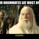 Gandalf | WHEN YOUR ROOMMATES EAT MOST OF THE FOOD; Hobbits. | image tagged in gandalf,hobbits,hobbit,lord of the rings,lotr,tolkien | made w/ Imgflip meme maker