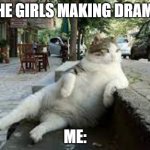 the drama | THE GIRLS MAKING DRAMA; ME: | image tagged in cat | made w/ Imgflip meme maker