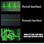 This happened to me once and my blood ran cold | WHEN IT’S 3AM, YOUR HOME ALONE AND YOU HERE A NOISE | image tagged in normal heartbeat deceased heartbeat | made w/ Imgflip meme maker