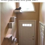 Sentry Cat meme