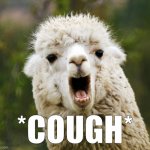 Cough | *COUGH* | image tagged in wow llama,cough | made w/ Imgflip meme maker