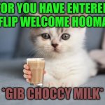 Welcome To ImgFlip Hooman :D | FOR YOU HAVE ENTERED IMGFLIP WELCOME HOOMAN :D; *GIB CHOCCY MILK* | image tagged in the kitten has greeted you to imgflip d | made w/ Imgflip meme maker
