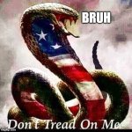 CoBruh | BRUH | image tagged in cobra snake patriotic | made w/ Imgflip meme maker