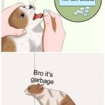 When life gives you lemons, you ask what the catch is | Tik tok exists; Bro it's garbage | image tagged in cat pill template | made w/ Imgflip meme maker