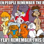 Heathcliff | WHEN PEOPLE REMEMBER THE 80’S; OH YEA I REMEMBER THIS ONE | image tagged in heathcliff | made w/ Imgflip meme maker