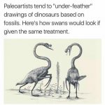 Dino swans
