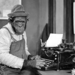 Murdoch monkey
