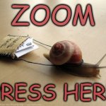 Snail Zoom | ZOOM; PRESS HERE | image tagged in snail mail | made w/ Imgflip meme maker