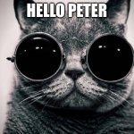 No way home reference | HELLO PETER | image tagged in cat sunglasses | made w/ Imgflip meme maker