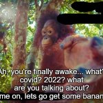 Return to monke | Ah, you're finally awake... what?
covid? 2022? what are you talking about? come on, lets go get some bananas | image tagged in return to monke | made w/ Imgflip meme maker