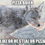 pizza boieh | PIZZA BOIEH; LIKE OR HE STEAL UR PIZZA | image tagged in pizzah | made w/ Imgflip meme maker