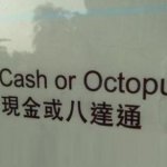 cash or octopus