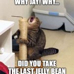 Over Dramatic Cat | WHY JAY! WHY... DID YOU TAKE THE LAST JELLY BEAN | image tagged in over dramatic cat | made w/ Imgflip meme maker