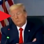 President Trump falls asleep during a covid-19 briefing meme