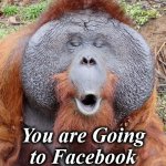 orangatan | Ooooooh! You are Going to Facebook Jail for That One | image tagged in orangatan | made w/ Imgflip meme maker