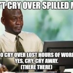 DO Cry over lost work | DON'T CRY OVER SPILLED MILK; DO CRY OVER LOST HOURS OF WORK,
 YES, CRY. CRY AWAY. 
(THERE THERE) | image tagged in sad computer guy | made w/ Imgflip meme maker