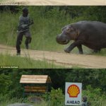 Man Running From Hippo - 3 Frames