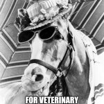 MISTER ED DRUG BUST | DEA GOES UNDERCOVER; FOR VETERINARY IVERMECTIN STING OPERATION | image tagged in mister ed incognito,funny memes | made w/ Imgflip meme maker