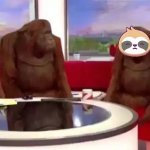 Sloth where banana