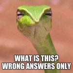 funny answer in comments | WHAT IS THIS?
WRONG ANSWERS ONLY | image tagged in skeptical snake,funny memes,funny,memes | made w/ Imgflip meme maker