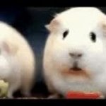 When Exercise GIF Template