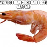 shrimp | ME: WHY DO I HAVE SUCH BAD POSTURE?
ALSO ME: | image tagged in shrimply | made w/ Imgflip meme maker