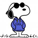 Be Cool