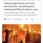 Swamp Flames News Duo