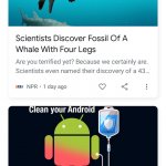 Whale Legs Phone Booster News Duo