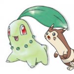 Furret and Chikorita!