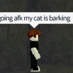 My cat is barking meme