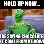 kermit couch | HOLD UP NOW…; YOU’RE SAYING CHOCOLATE MILK DOESN’T COME FROM A BROWN COW? | image tagged in kermit couch | made w/ Imgflip meme maker