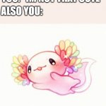 can i boop it? | YOU: "IM NOT THAT CUTE"; ALSO YOU: | image tagged in wholesome | made w/ Imgflip meme maker