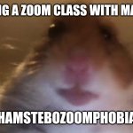 Deez hamsta iz cul B) | IM HAVING A ZOOM CLASS WITH MA TEACHA; "HAMSTEBOZOOMPHOBIA" | image tagged in staring hamster | made w/ Imgflip meme maker