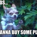 Hey Kids... | HEY KIDS…; Y’ALL WANNA BUY SOME PLANTS?! | image tagged in hey kids | made w/ Imgflip meme maker