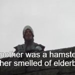 Your mother was a hamster