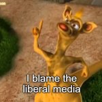 I blame the liberal media