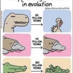 Disappointing Moments in evolution