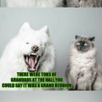 bad joke dog cat | OK; WANNA HEAR A JOKE? THERE WERE TONS OF GRANDADS AT THE HALL.YOU COULD SAY IT WAS A GRAND REUNION | image tagged in bad joke dog cat,dog memes | made w/ Imgflip meme maker