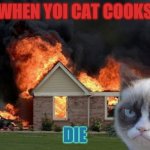 Burn Kitty | WHEN YOI CAT COOKS DIE | image tagged in memes,burn kitty,grumpy cat | made w/ Imgflip meme maker