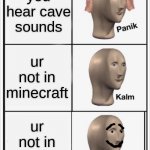 Panik Kalm Kalm | you hear cave sounds; ur not in minecraft; ur not in minecraft; HAPEY | image tagged in panik kalm kalm | made w/ Imgflip meme maker