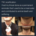 Why are vegans like this
