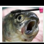 Fish mascara template