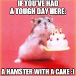 birthday hamster | IF YOU'VE HAD A TOUGH DAY HERE:; A HAMSTER WITH A CAKE :) | image tagged in birthday hamster | made w/ Imgflip meme maker