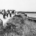 Kennedy Car at Chappaquiddick