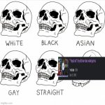 Skull Comparison | image tagged in skull comparison | made w/ Imgflip meme maker